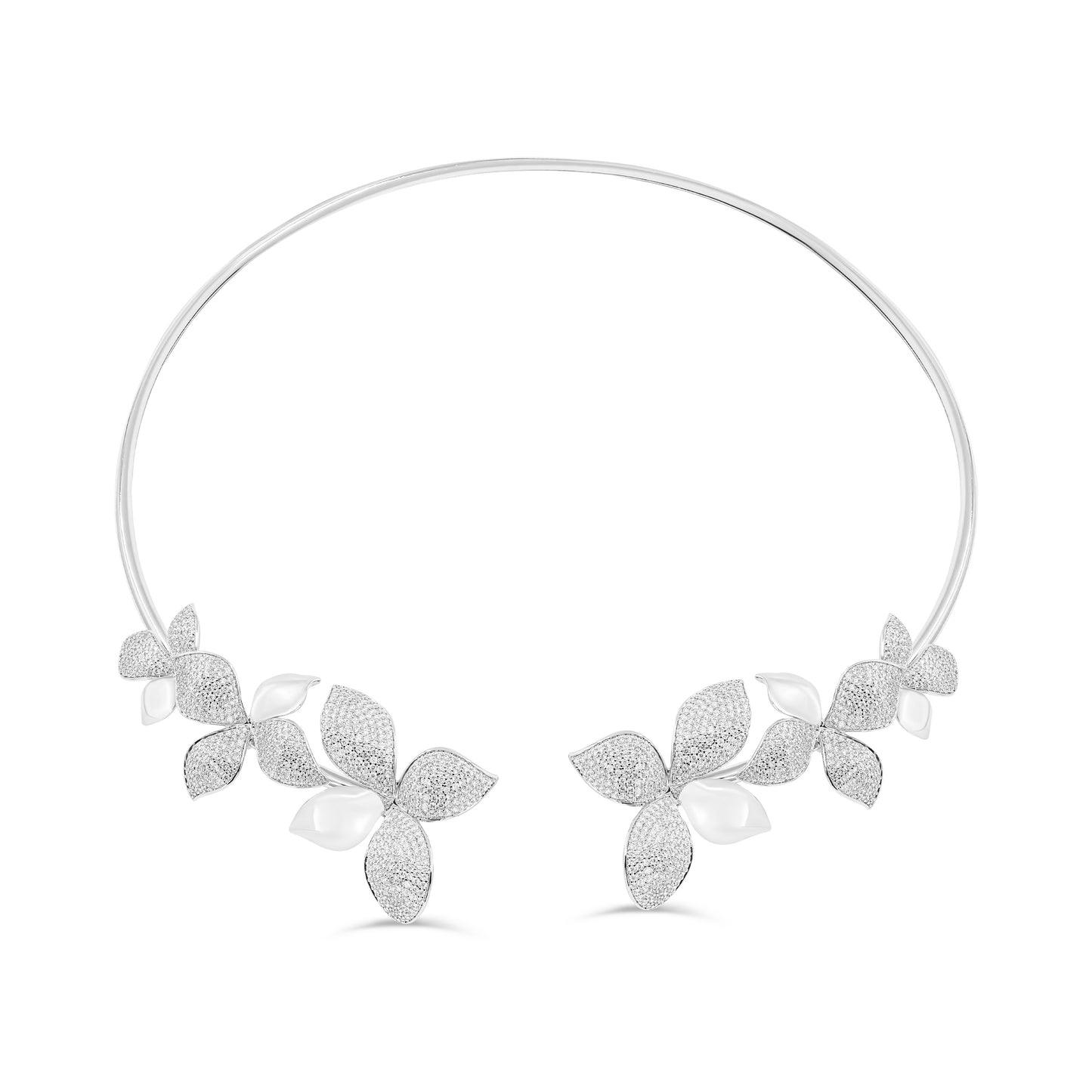 Flora